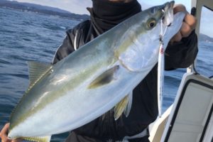 来島海峡 2020年の初釣りは肝パンパンのウマズラハギでスタート 来島海峡釣り道楽